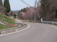 信州丸子高原グリーンヒル別荘地の道路