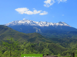 �I�����|�X�O�x