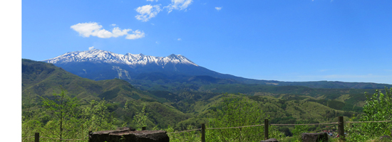 �I�����|�X�O�x