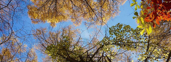 �l���@����L�����v��ւ̃A�N�Z