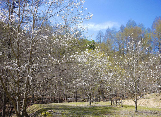 �l������